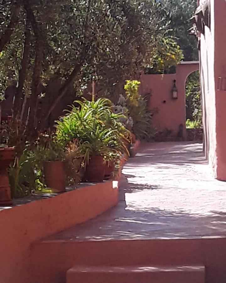 Auberge Le Mouflon Ouirgane Esterno foto