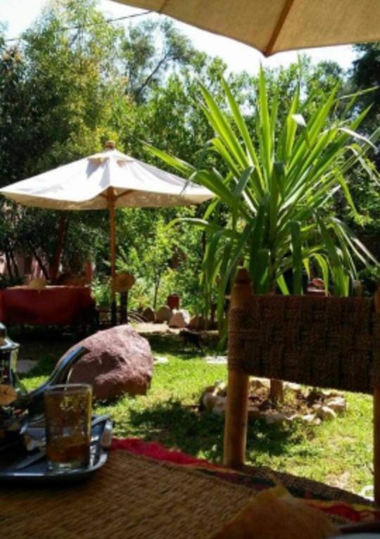 Auberge Le Mouflon Ouirgane Esterno foto