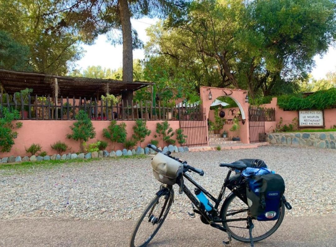Auberge Le Mouflon Ouirgane Esterno foto