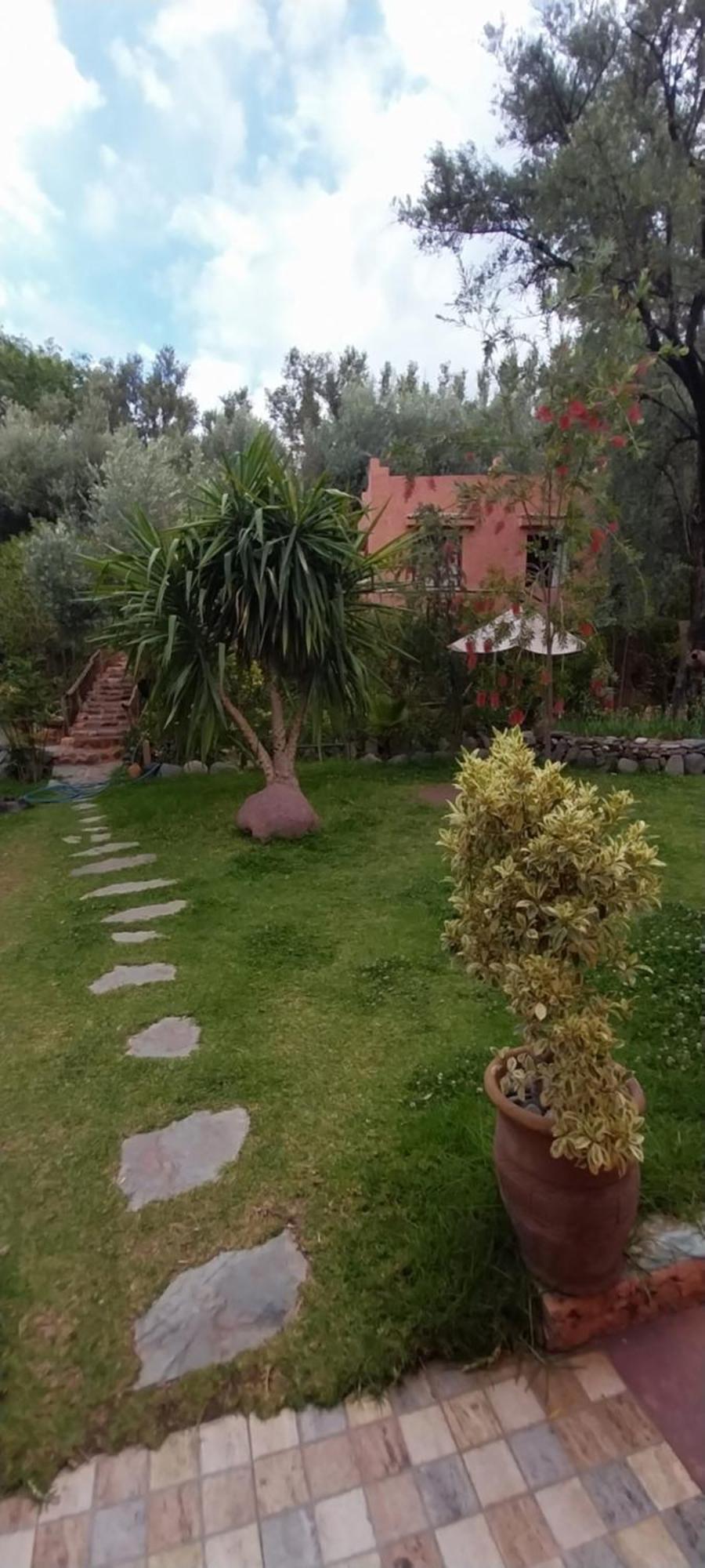 Auberge Le Mouflon Ouirgane Camera foto