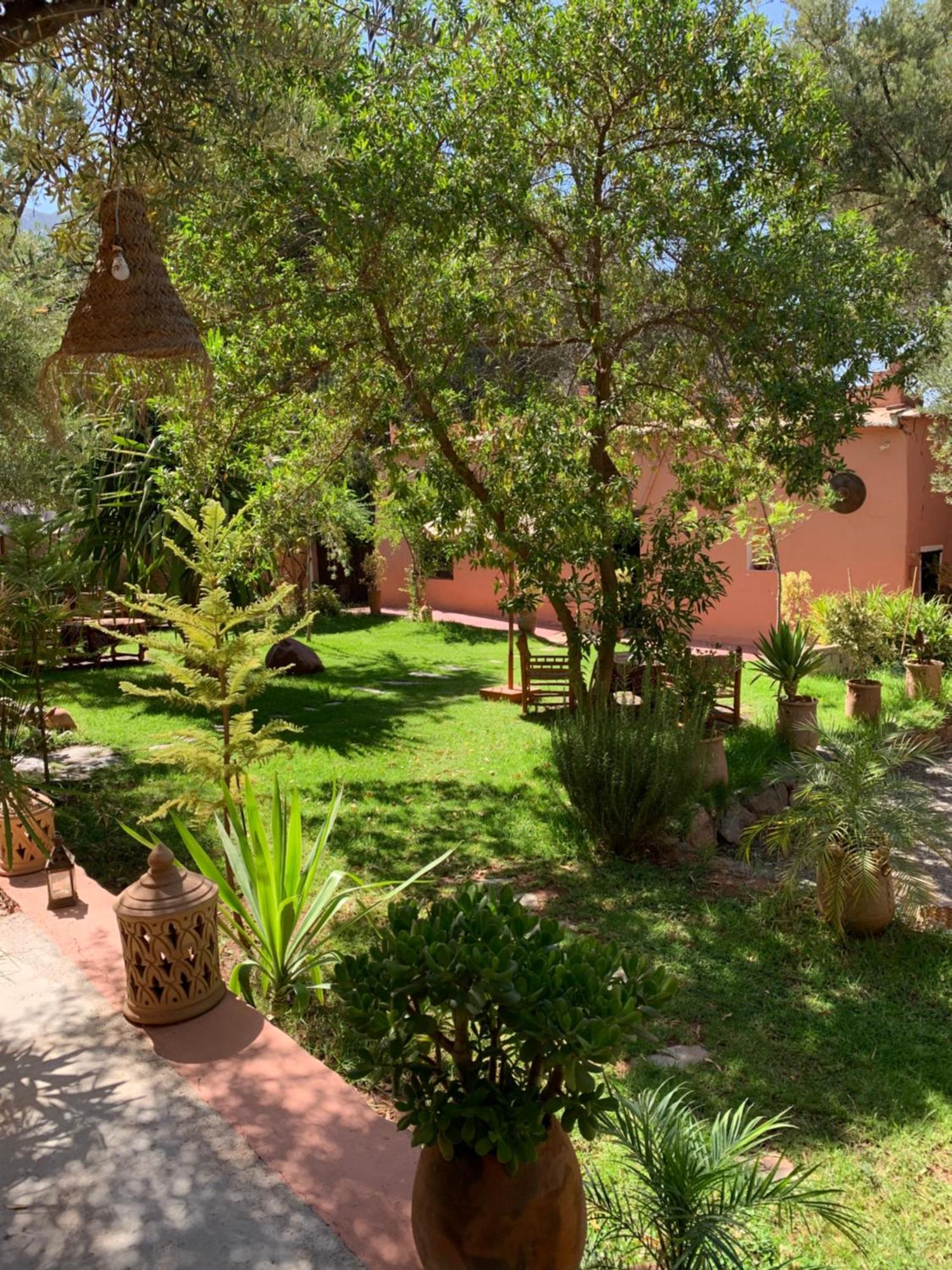 Auberge Le Mouflon Ouirgane Esterno foto